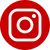 Instagram social button