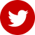 Twitter social button